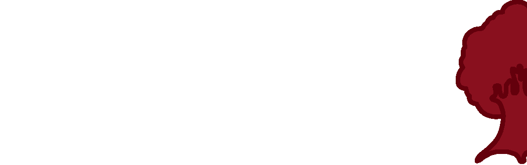 Logo Pferdeställe und Pferdeboxen Kirst in groß