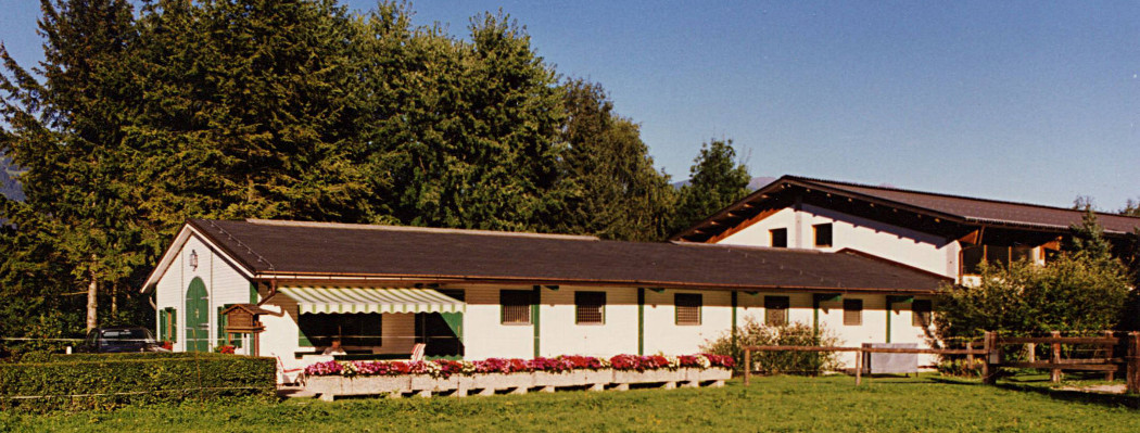 Stallbau für Pferde