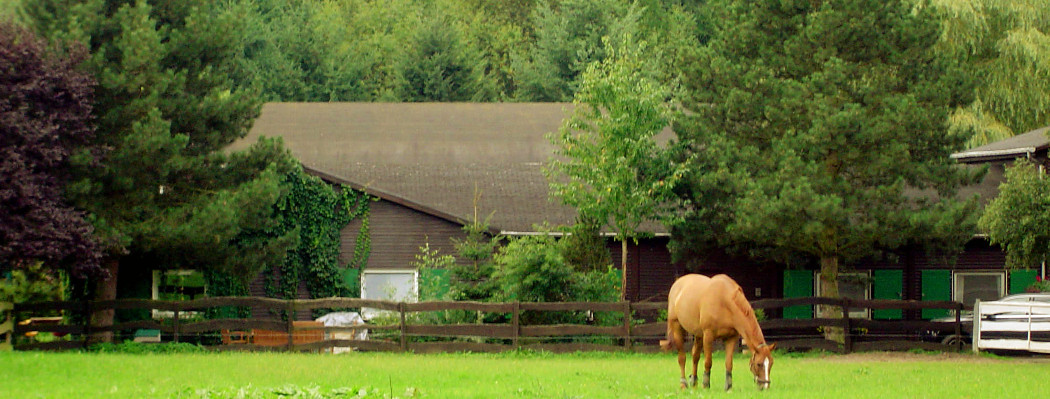 Pferdestallbau Kirst